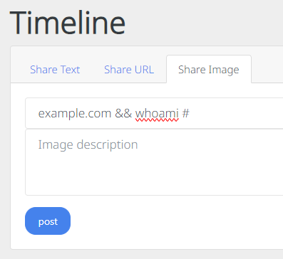 cmd injection input screenshot